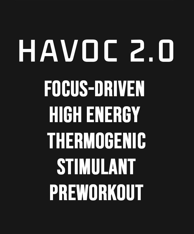 Havoc 2.0